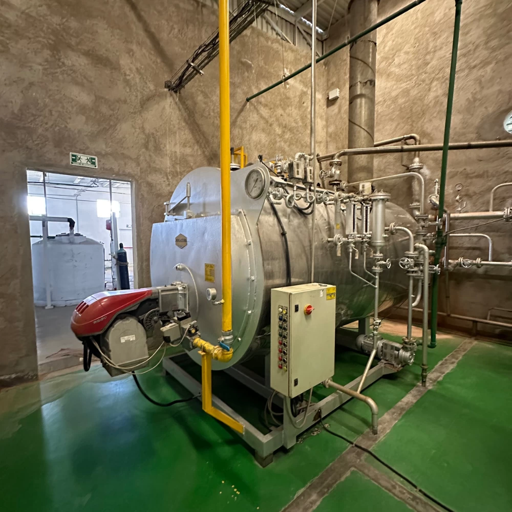 Caldera  Vapor  a  gas Mingazzini 1550 kW