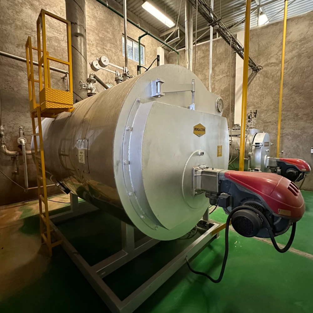 Caldera  Vapor  a  gas Mingazzini 1550 kW