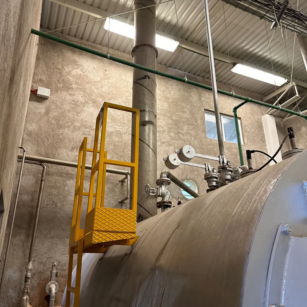 Caldera  Vapor  a  gas Mingazzini 1550 kW